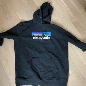 Patagonia hoodie